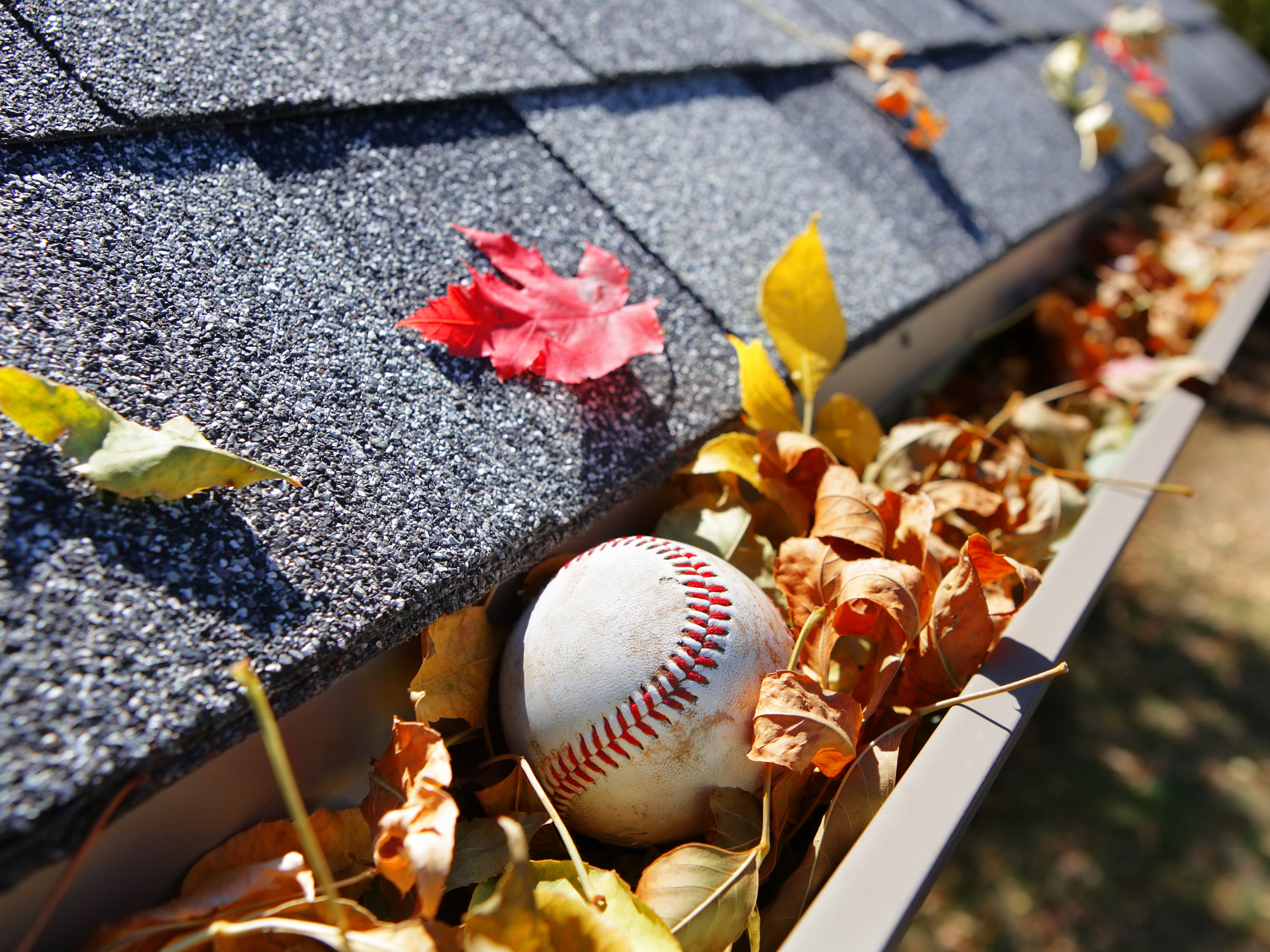 leaves and baseball inside a roof gutter